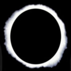 Meet your Posher, Ava